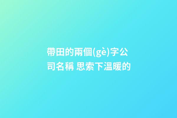 帶田的兩個(gè)字公司名稱 思索下溫暖的-第1張-公司起名-玄機(jī)派